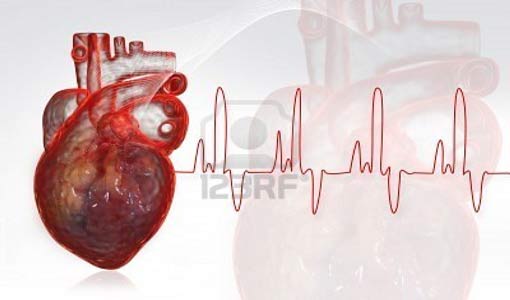 خمس خطوات لتجنب الإصابة بأمراض القلب