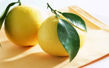 الليمون الحامض في خفض معدل الكوليسترول