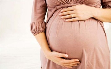 المشيمة ودورها في الحمل