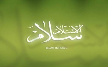 مرآة الإسلام ومرايا البشر