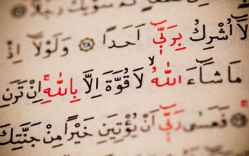 ظلال التقوى في القرآن