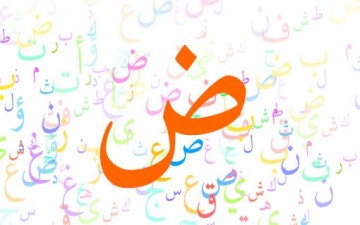 دور اللغة العربية في ترسيخ الهويات الوطنية