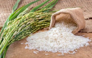 السعرات الحرارية في الأرز