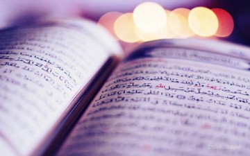 عناصر المجتمع في القرآن الكريم/ ج (4)