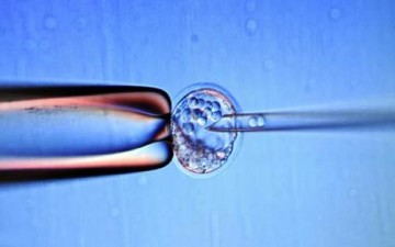 ضبط الخلايا الجذعية لدراسة التطور الجنيني