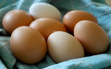 الإكثار من البيض لا يرفع نسبة الكوليسترول